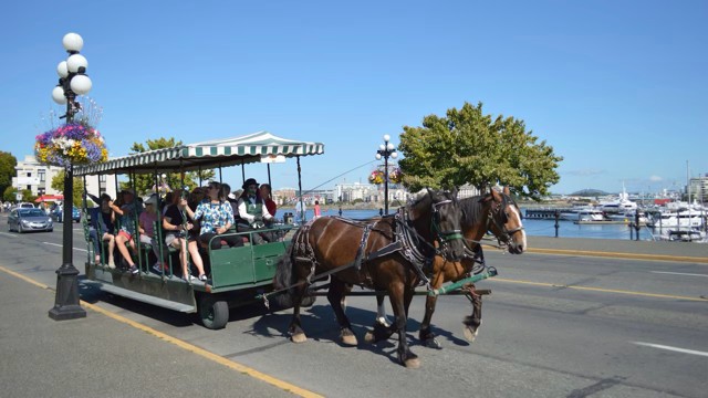 Horse drawn trolley in Charlottetown